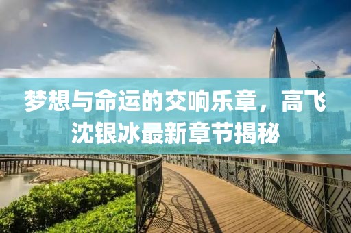 夢想與命運(yùn)的交響樂章，高飛沈銀冰最新章節(jié)揭秘