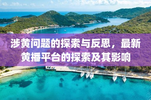 涉黃問題的探索與反思，最新黃播平臺的探索及其影響