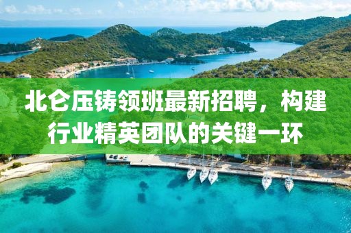 北侖壓鑄領班最新招聘，構建行業(yè)精英團隊的關鍵一環(huán)
