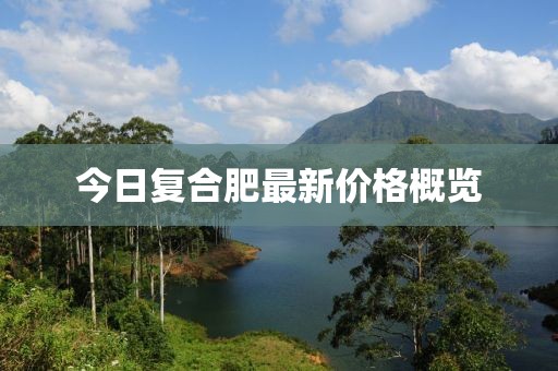 今日復合肥最新價格概覽