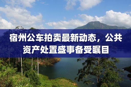 宿州公車拍賣最新動(dòng)態(tài)，公共資產(chǎn)處置盛事備受矚目