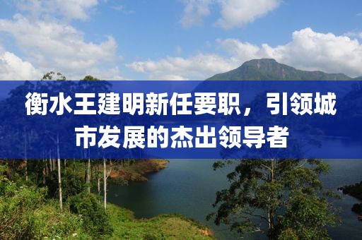衡水王建明新任要職，引領(lǐng)城市發(fā)展的杰出領(lǐng)導(dǎo)者
