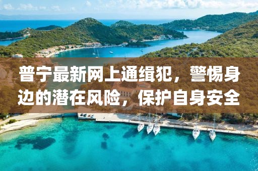 普寧最新網(wǎng)上通緝犯，警惕身邊的潛在風(fēng)險(xiǎn)，保護(hù)自身安全