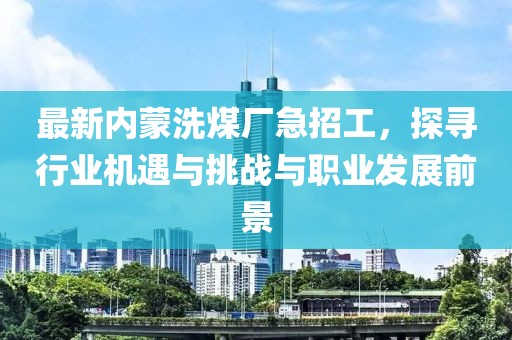 最新內(nèi)蒙洗煤廠急招工，探尋行業(yè)機(jī)遇與挑戰(zhàn)與職業(yè)發(fā)展前景