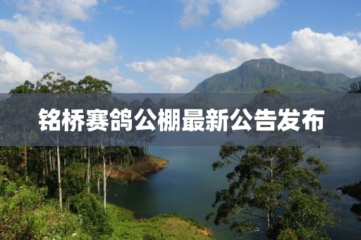 銘橋賽鴿公棚最新公告發(fā)布