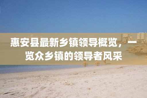 惠安縣最新鄉(xiāng)鎮(zhèn)領(lǐng)導(dǎo)概覽，一覽眾鄉(xiāng)鎮(zhèn)的領(lǐng)導(dǎo)者風(fēng)采