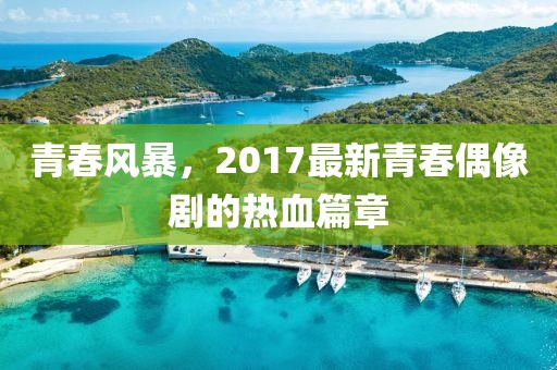青春風(fēng)暴，2017最新青春偶像劇的熱血篇章