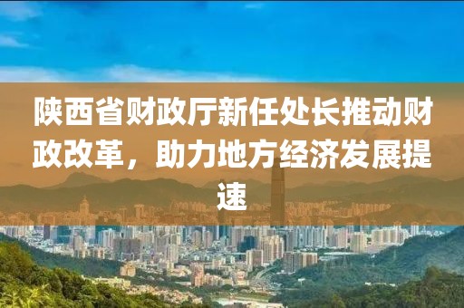 陜西省財(cái)政廳新任處長推動財(cái)政改革，助力地方經(jīng)濟(jì)發(fā)展提速