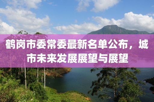 鶴崗市委常委最新名單公布，城市未來發(fā)展展望與展望