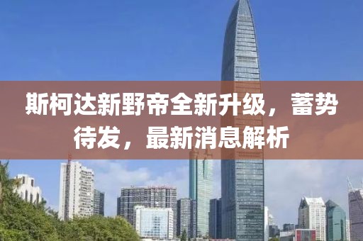 斯柯達新野帝全新升級，蓄勢待發(fā)，最新消息解析