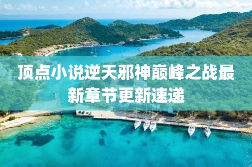 頂點小說逆天邪神巔峰之戰(zhàn)最新章節(jié)更新速遞