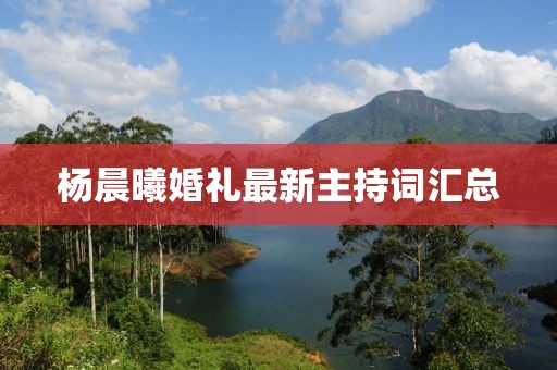 楊晨曦婚禮最新主持詞匯總