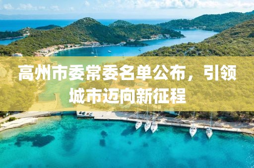 高州市委常委名單公布，引領城市邁向新征程