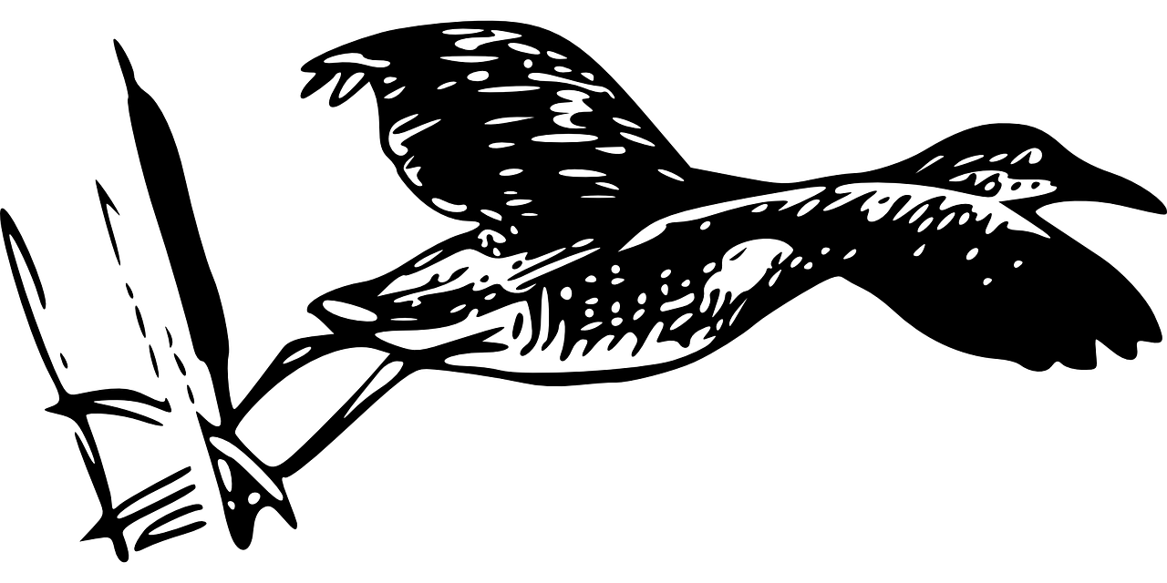 第2359頁(yè)