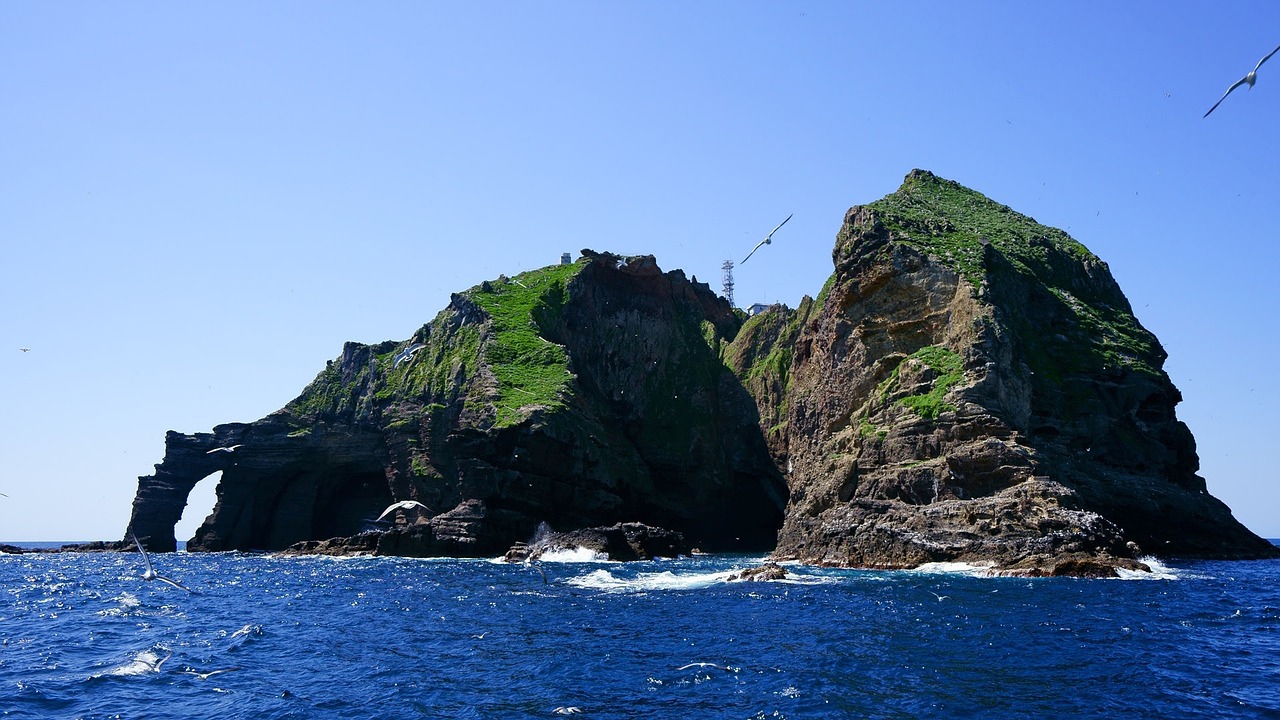 鈞魚島最新消息視頻揭秘，東海釣魚島爭端的新動(dòng)態(tài)