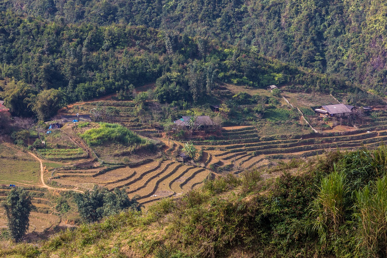 符離鎮(zhèn)最新規(guī)劃圖揭曉，展望繁榮未來，符離鎮(zhèn)2016規(guī)劃展望