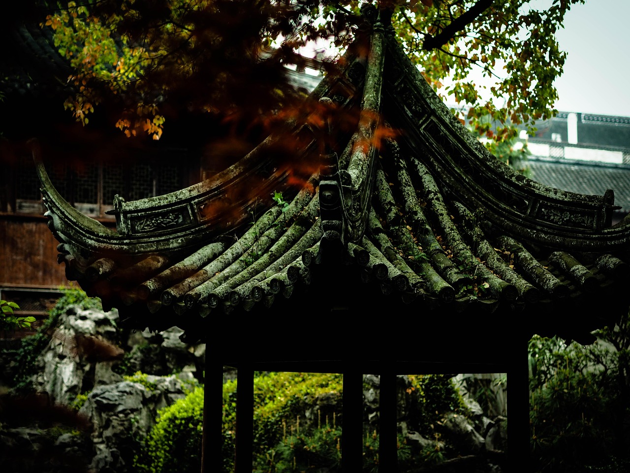 中國(guó)女排隊(duì)蓄勢(shì)待發(fā)，展現(xiàn)新篇章，最新消息與動(dòng)態(tài)速遞