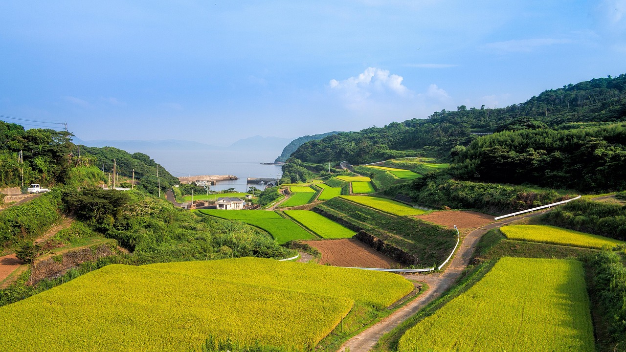 廣西靈山高速建設(shè)進(jìn)展揭秘，最新消息與未來展望